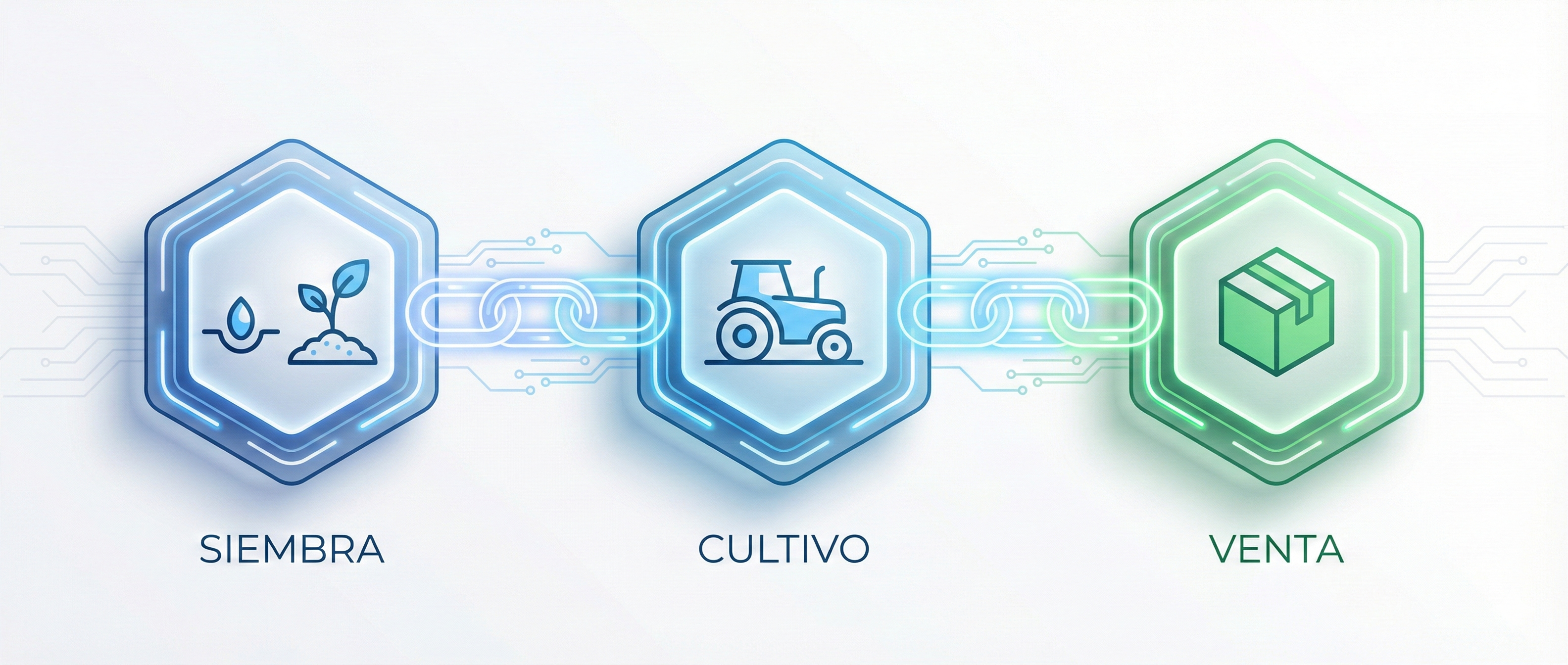 Blockchain Trazabilidad